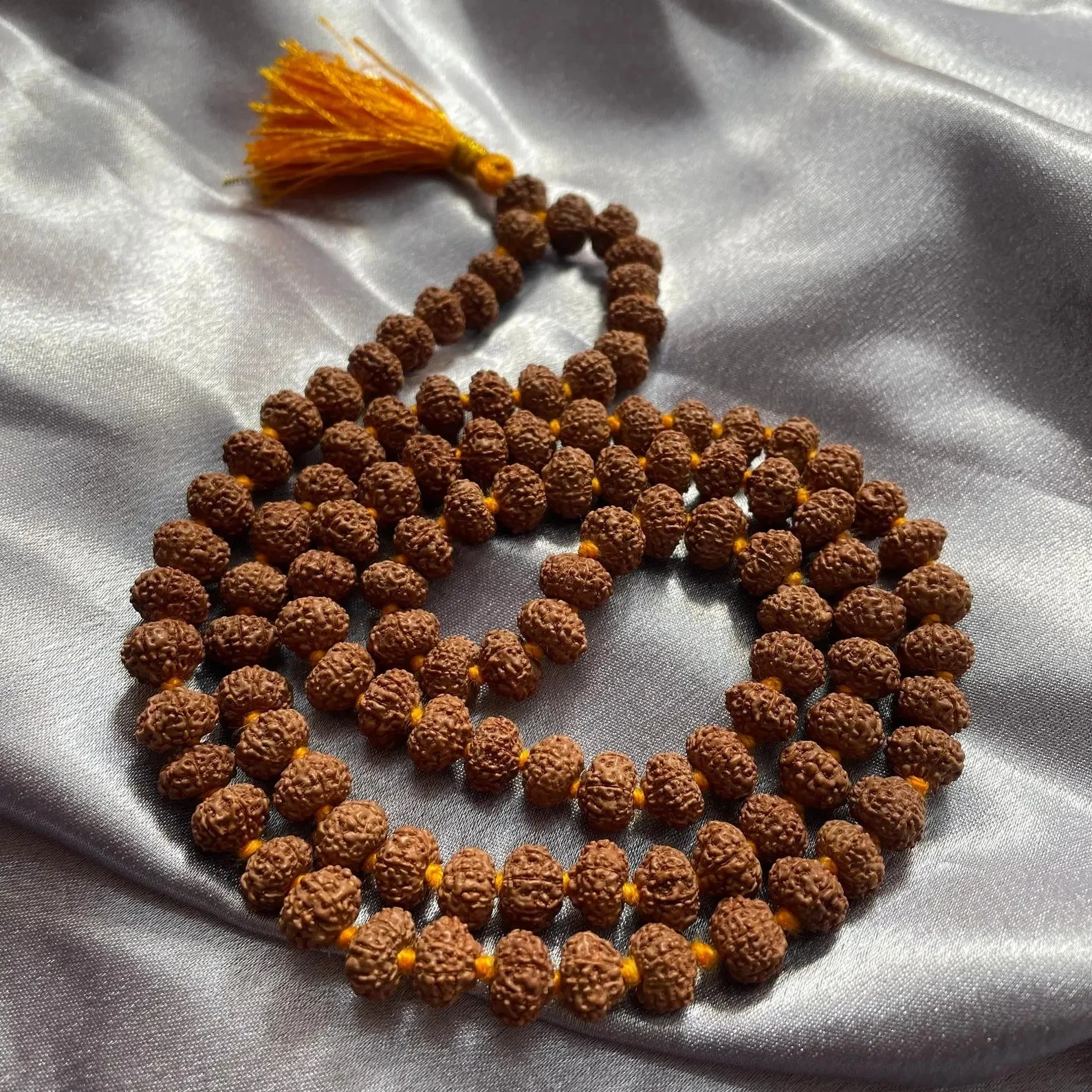 Rudraksha
